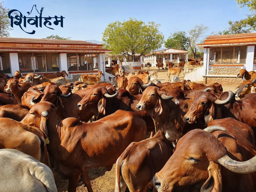 गौधाम